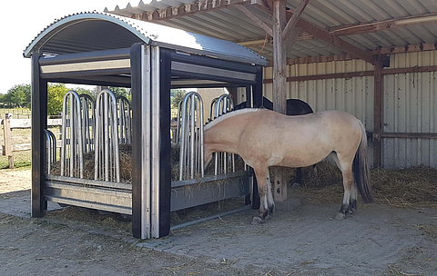 Twee paarden eten hooi bij de automatische voederbak