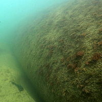Onderwaterbeeld van bevolkte SoilTain-buizen