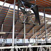 Onderaanzicht van een ingebouwde axiale ventilator boven de omheining van de koeienstal