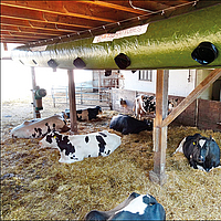 Lubratec Tube Cool gemonteerd op steunbalken voor koelventilatie van de koeienstal