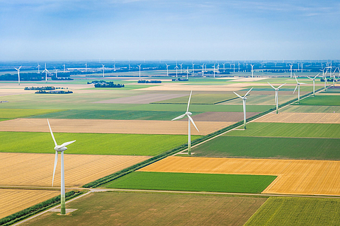 Mehrere Windkraftwerke stehen auf Feldern