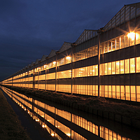 HUESKER kas bij nacht - Verlicht gebouw