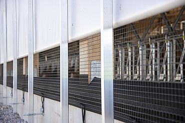Exterior view of a bottom-opening roll-up vent fitted to the underside of the dairy cow shed