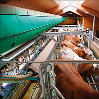 Lubratec Tube Cool boven een melkstation voor koelventilatie van de koeien tijdens het melkproces
