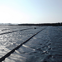 Overzicht van een gebied dat volledig bedekt is met Basetrac® geweven wapeningsweefsel