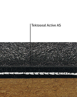 Gedetailleerde informatie over Tektoseal Active AS Tektoseal Active AS in detail