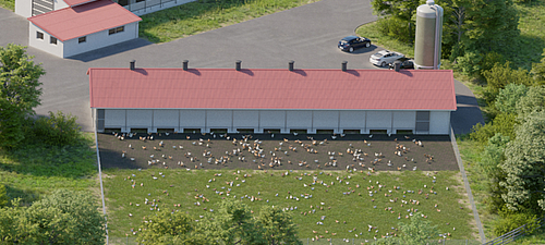 Moderne pluimveestallen - Lubratec oplossingen voor kippen en hanen Vooruitstrevende pluimveestallen met Lubratec-oplossingen voor gezonde kippen en hanen